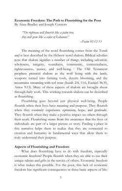 Economic Freedom: The Path to Flourishing for the Poor