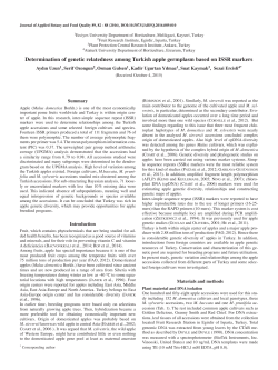 Determination of genetic relatedness among Turkish apple