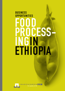 Business opportunities: Food Processing in Ethiopia