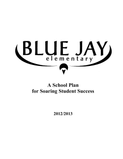 A School Plan for Soaring Student Success