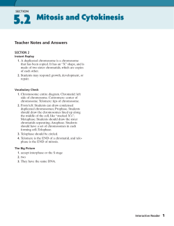 Teacher Notes and Answers