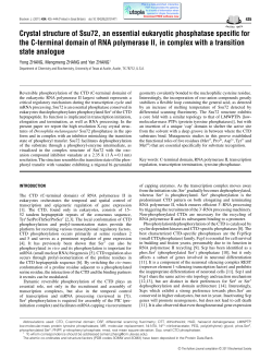 Crystal structure of Ssu72, an essential eukaryotic phosphatase