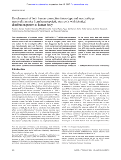 Development of both human connective tissue
