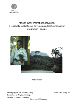African Grey Parrot conservation: