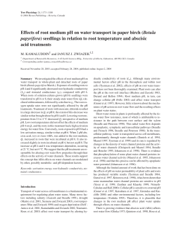 Effects of root medium pH on water transport in paper birch (Betula