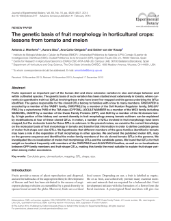The genetic basis of fruit morphology in