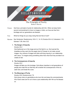 Sermon Discussion Guide