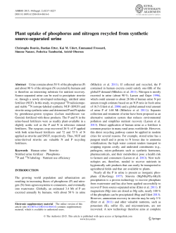 Plant uptake of phosphorus and nitrogen recycled from synthetic
