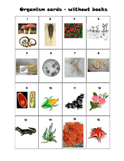 Organism cards - without backs