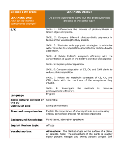 Printable Activities