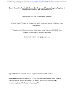 Casein Kinase II is Required for Proper Cell Division and