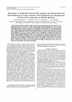 Evaluation of Arbitrarily Primed PCR Analysis and Pulsed