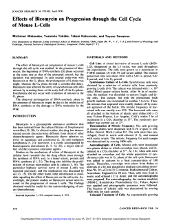 Effects of Bleomycin on Progression through the Cell Cycle of