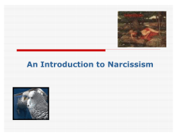 An Introduction to Narcissism