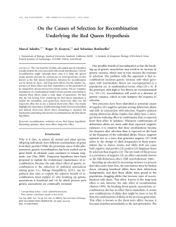 On the Causes of Selection for Recombination Underlying the Red