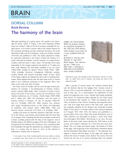 The harmony of the brain - Oxford Academic