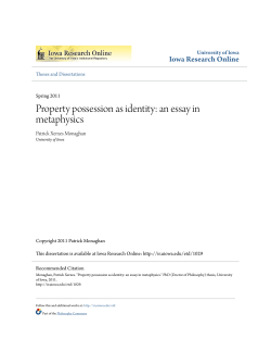 Property possession as identity: an essay in metaphysics