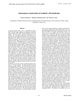 Autonomous construction of synthetic cell membrane