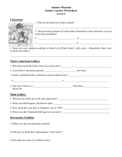 Level 2 Junior Curator