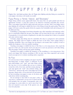 P U P P Y B I T I N G - Embarking the Pet Dog