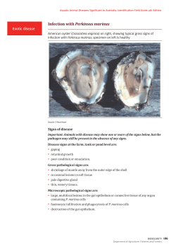Infection with Perkinsus marinus - Department of Agriculture and