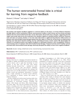 The human ventromedial frontal lobe is critical for
