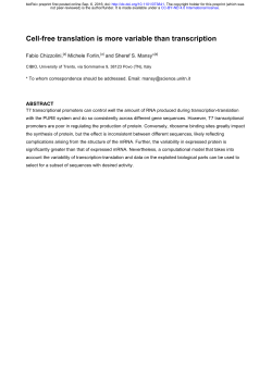 Cell-free translation is more variable than transcription