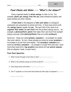 Food Chains and Webs --- "What`s for dinner?" - dubai
