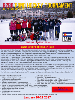 9280 Pond Hockey 2017