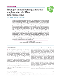 Strength in numbers: quantitative single