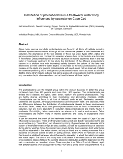 Porsch, K. Distrubtion of proteobacteria in a freshwater water body