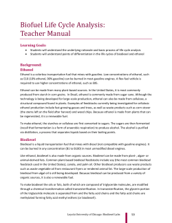 Life Cycle Analysis - Loyola University Chicago