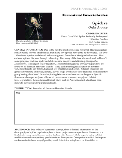 Spiders - iBrarian