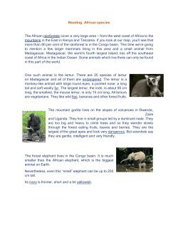 Reading: African species The African rainforests cover a very large