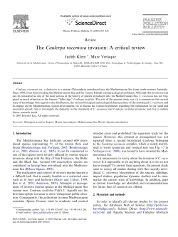 The Caulerpa racemosa invasion: A critical review