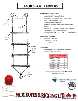 jacob`s rope ladders