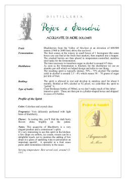 Ethan Frome - Pojer e Sandri