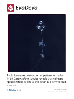 Evolutionary reconstruction of pattern formation in