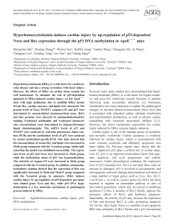 Hyperhomocysteinemia induces cardiac injury by