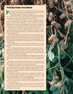Protecting Peanuts from Aflatoxin
