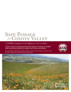 Safe Passage For Coyote Valley