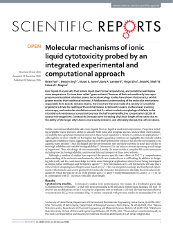 Molecular mechanisms of ionic liquid cytotoxicity probed by an
