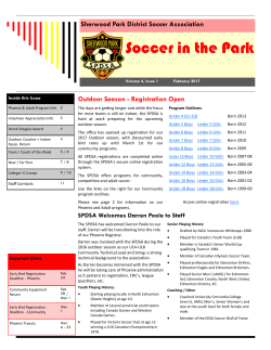 Soccer in the Park