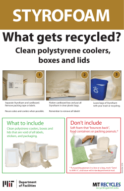 styrofoam lab sheet.ai