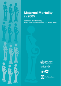 Maternal Mortality in 2005 - World Health Organization