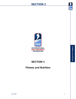 Section 3 - IIHF.com