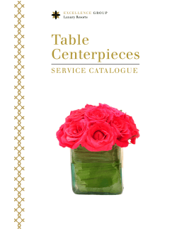 Table Centerpieces - Paradise Getaways