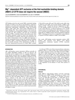 Mg2+-dependent ATP occlusion at the first nucleotide