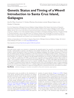 Genetic Status and Timing of a Weevil