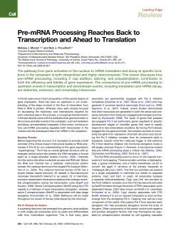 Pre-mRNA Processing Reaches Back toTranscription and Ahead to